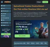 Kleine Seitenvorschau von spinational.de