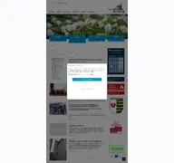 Kleine Seitenvorschau von stadt-kemberg.de
