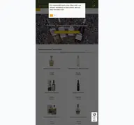 Kleine Seitenvorschau von drinkrituals.de