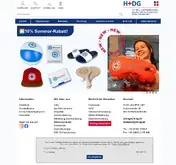 Kleine Seitenvorschau von h-dg.de