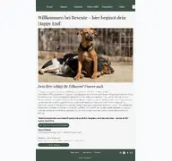 Kleine Seitenvorschau von rescute-ev.de