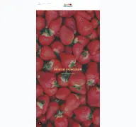 Kleine Seitenvorschau von lappersdorfer-erdbeeren.de