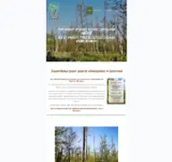 Kleine Seitenvorschau von spreewald-statt-wildnis.de