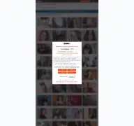 Kleine Seitenvorschau von cam4.eu