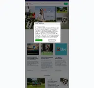 Kleine Seitenvorschau von golf.at