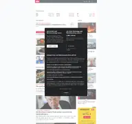 Kleine Seitenvorschau von ntv.de