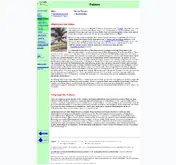 Kleine Seitenvorschau von palmeninfo.de