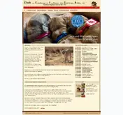Kleine Seitenvorschau von rr-club-elsa.de