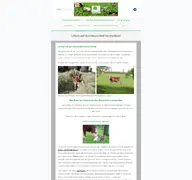 Kleine Seitenvorschau von zeltnerhof.de
