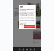 Kleine Seitenvorschau von zueblin-spezialtiefbau.de
