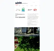Kleine Seitenvorschau von stadt-birkenfeld.de