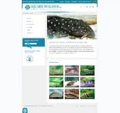 Kleine Seitenvorschau von aquariumglaser.de