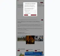 Kleine Seitenvorschau von stadt-buedingen.ticketfritz.de