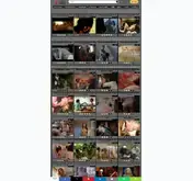 Kleine Seitenvorschau von rtgallery.net