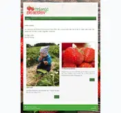 Kleine Seitenvorschau von hellwegs-erdbeeren.de