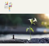 Kleine Seitenvorschau von stadtkirchgemeinde.de