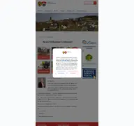 Kleine Seitenvorschau von helmstadt-ufr.de