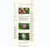 Kleine Seitenvorschau von arboretum.blogger.de