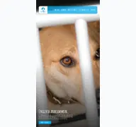 Kleine Seitenvorschau von arche4dogs.de