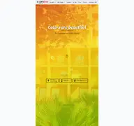 Kleine Seitenvorschau von copy-koethe.de