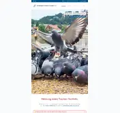 Kleine Seitenvorschau von stadttauben-dresden.de
