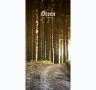 Kleine Seitenvorschau von stern-mittenwald.de