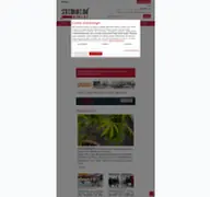 Kleine Seitenvorschau von archiv.steinheim-news.de