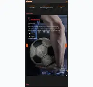 Kleine Seitenvorschau von playzo.de