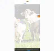 Kleine Seitenvorschau von argerind.at