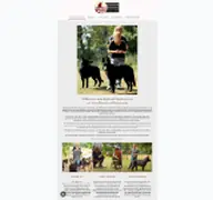 Kleine Seitenvorschau von stadtwolf-hundetraining.de