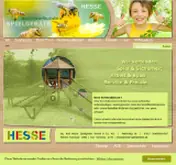 Kleine Seitenvorschau von hesse-spielgeraete.de
