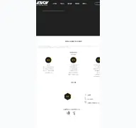 Kleine Seitenvorschau von eskybearing.com