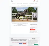 Kleine Seitenvorschau von starhorses.fotograf.de