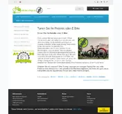 Kleine Seitenvorschau von ebike-chip.at