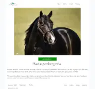 Kleine Seitenvorschau von artnlight.de
