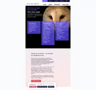 Kleine Seitenvorschau von bvm-law.de