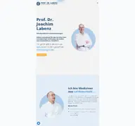 Kleine Seitenvorschau von prof-labenz.de