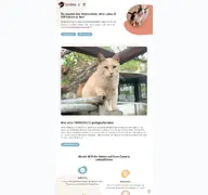 Kleine Seitenvorschau von canarigatos.de