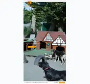 Kleine Seitenvorschau von canidos.de