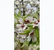 Kleine Seitenvorschau von obsthof-schwitzky.de