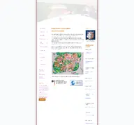 Kleine Seitenvorschau von rss-witten.de