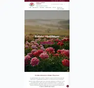Kleine Seitenvorschau von rottaler-pfingstrosen.de