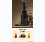 Kleine Seitenvorschau von buechin-weine.de
