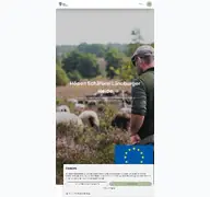 Kleine Seitenvorschau von hoepenschaeferei.de