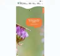 Kleine Seitenvorschau von stiftung-nlb.de