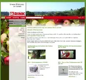 Kleine Seitenvorschau von rink-gmbh.de