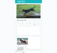 Kleine Seitenvorschau von yourdogmagazin.at