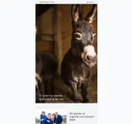 Kleine Seitenvorschau von storming-donkey.de