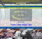 Kleine Seitenvorschau von holtgast.de