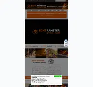 Kleine Seitenvorschau von holzbackofen.de